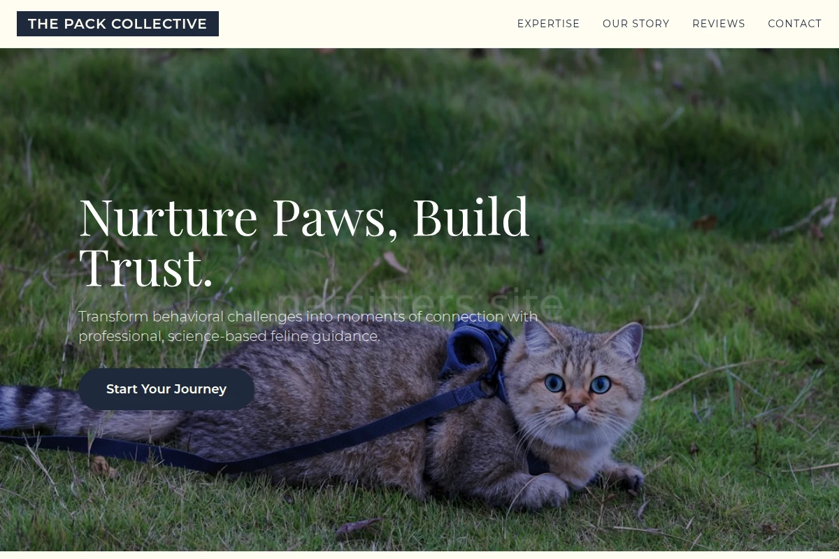 Purr Cat Training