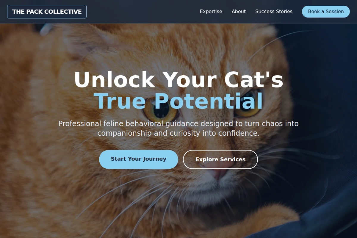 Meow Cat Training