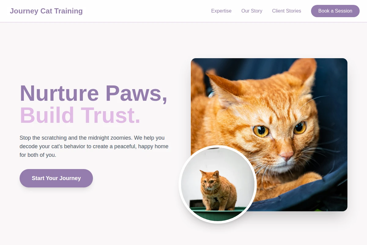 Journey Cat Training
