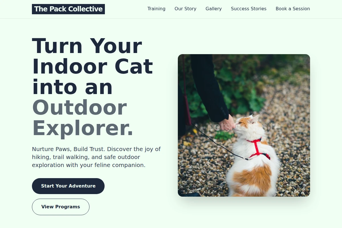Adventure Cat Training