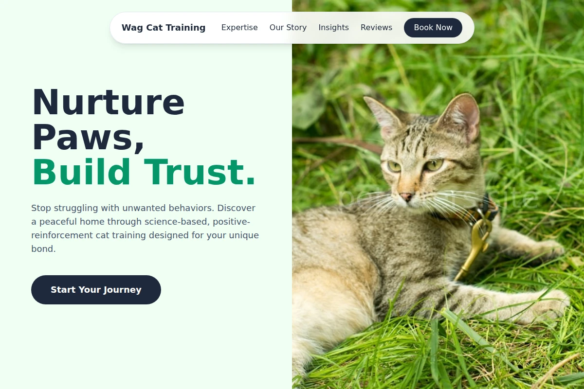 Wag Cat Training