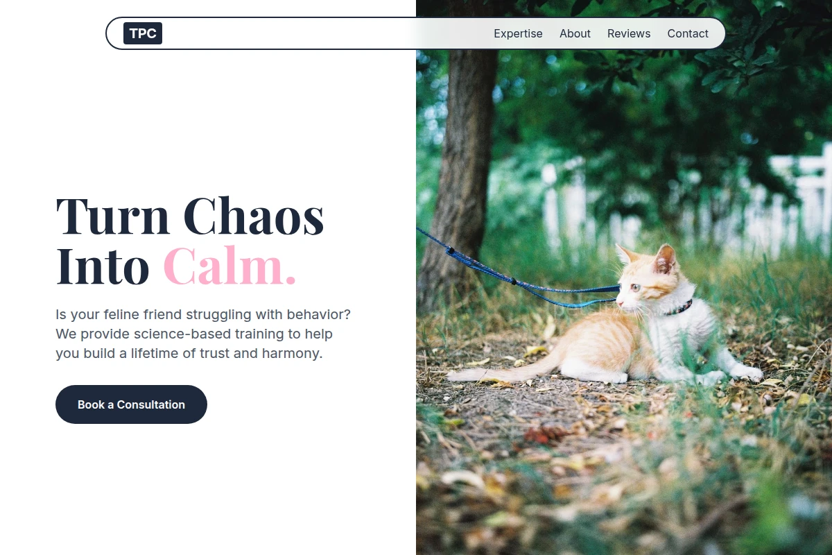 Pawprints Cat Training