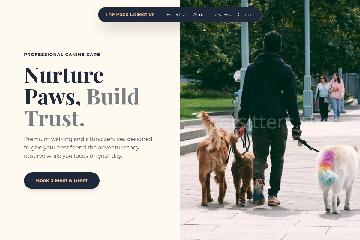 Collars Dog Walking