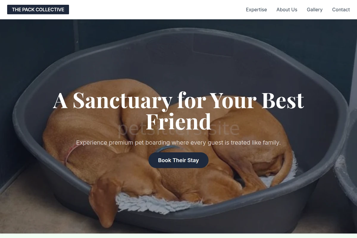 Collars Pet Boarding