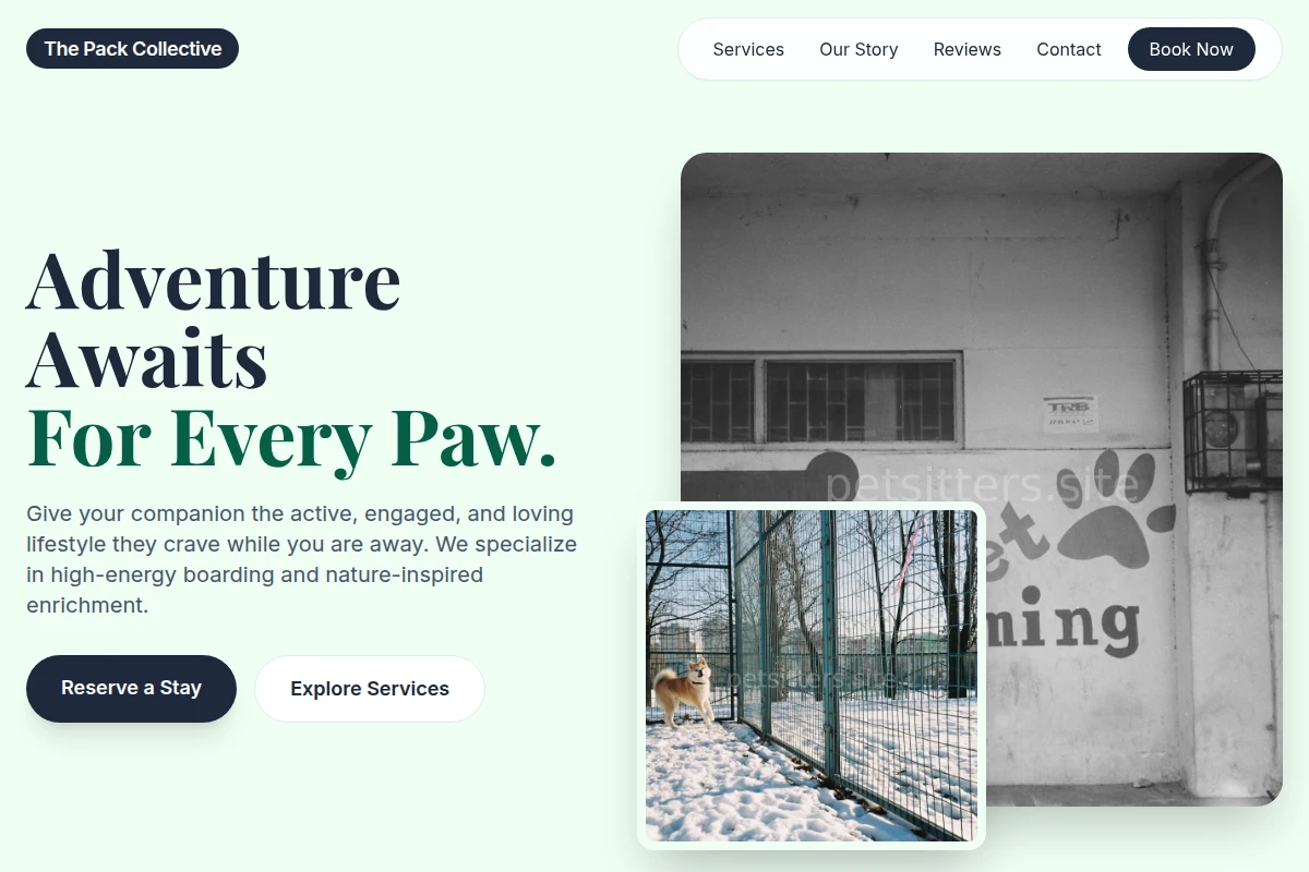 Adventure Pet Boarding