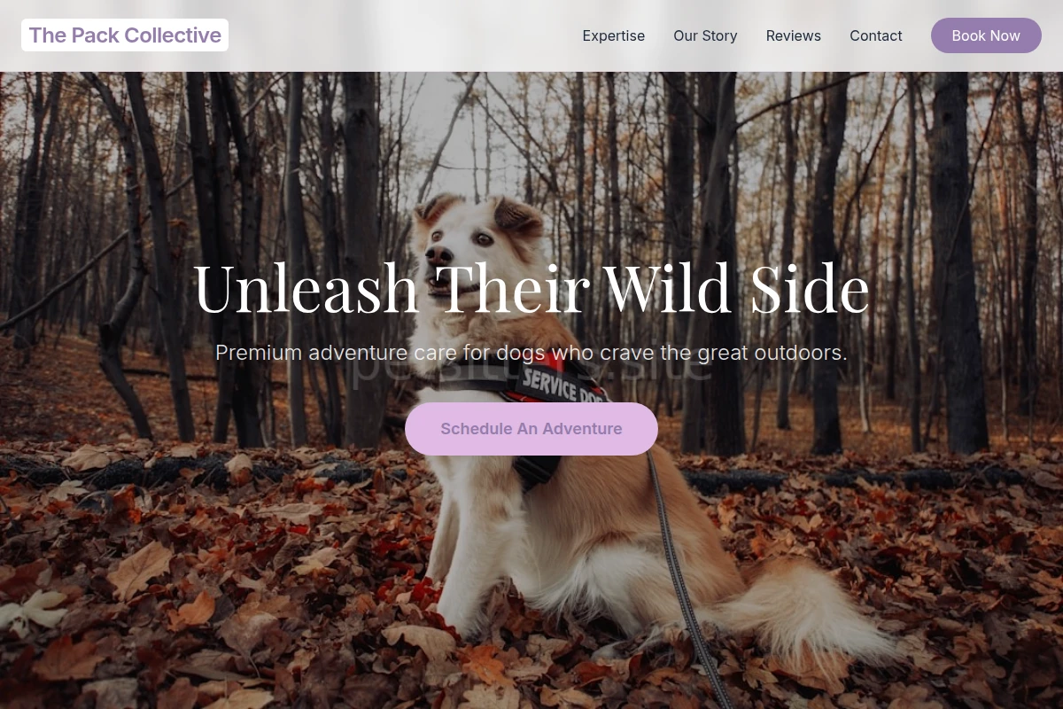 Adventure Pet Services