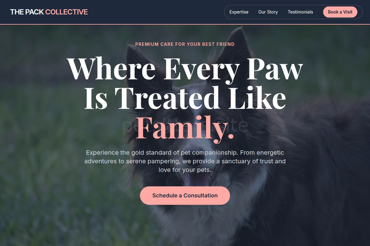 Nest Pet Services